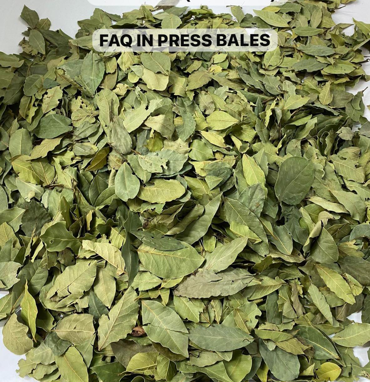 FAQ in press bales