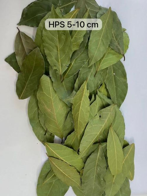 HPS 5–10 cm